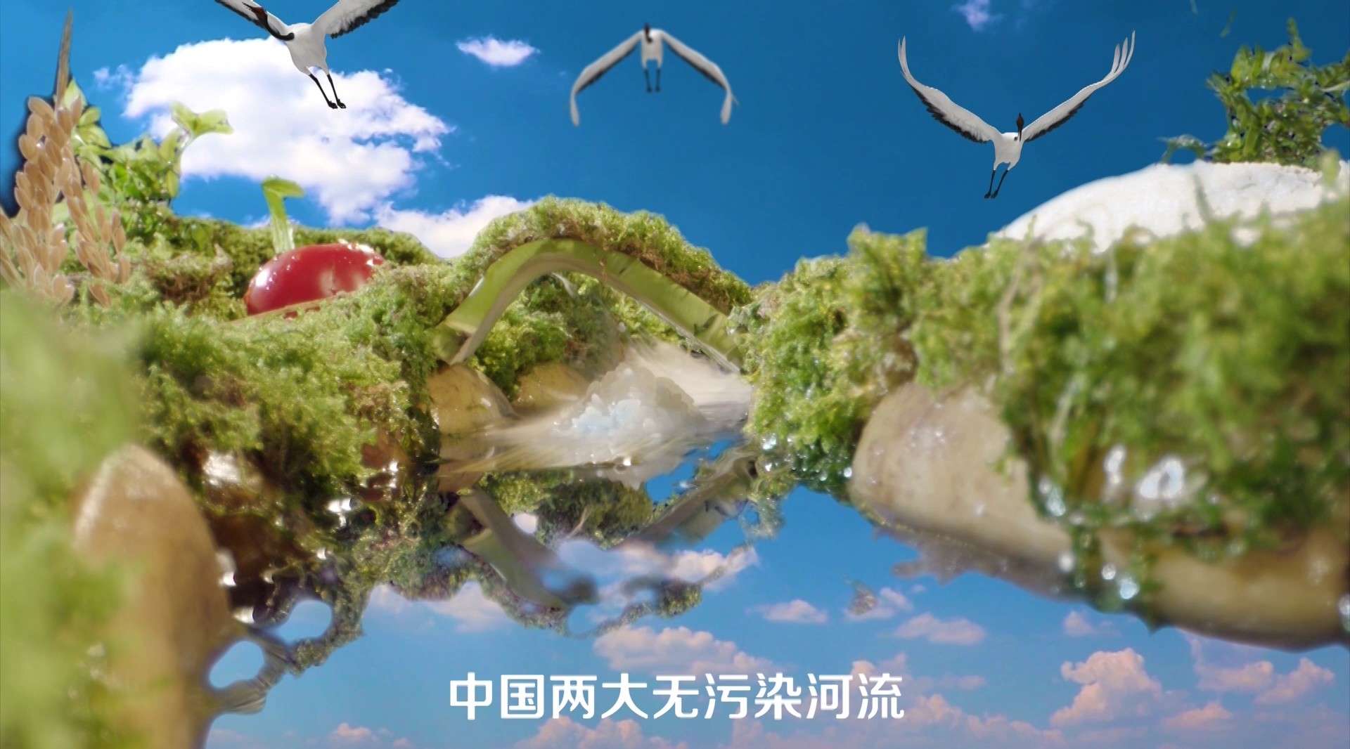 金鹤大米产品广告片-中端篇