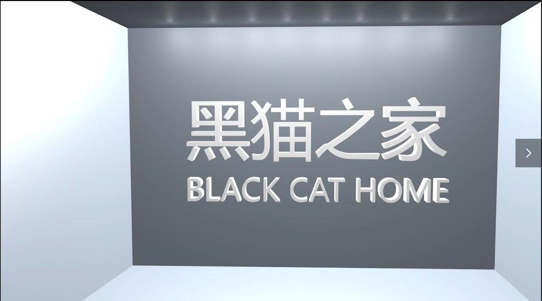 梦迪集团BLACK CAT黑猫之家丨中国邵东
