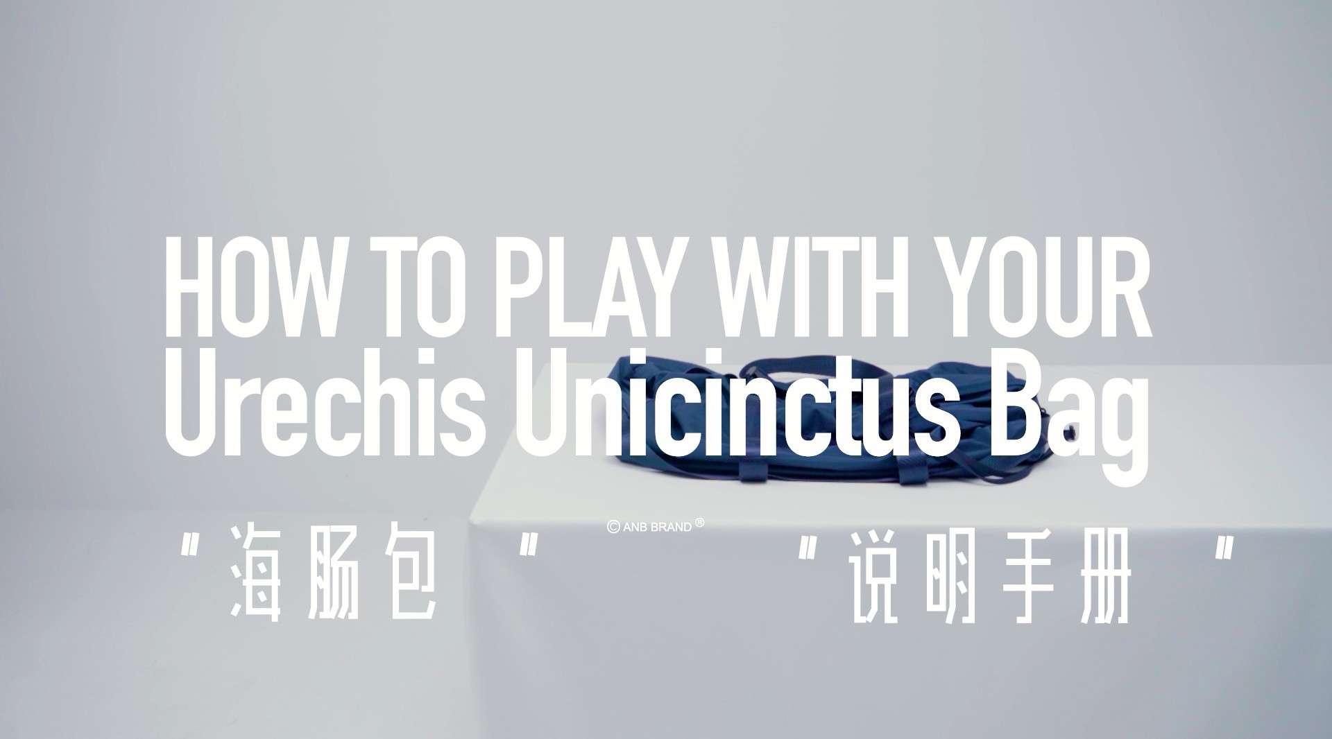 ANB Urechis Unicinctus 可收纳便携旅行袋