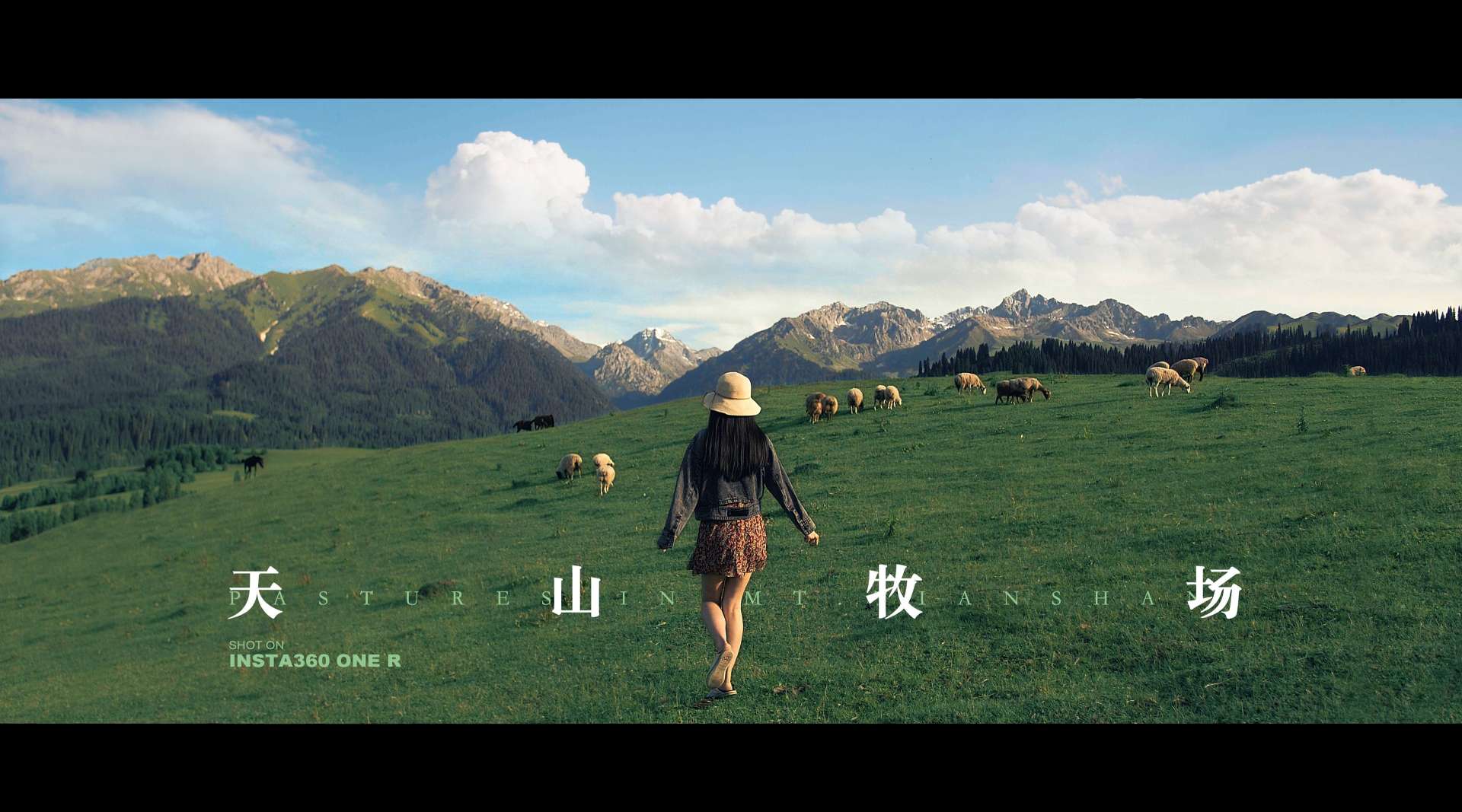 天山牧场 - 唯美新疆草原旅拍