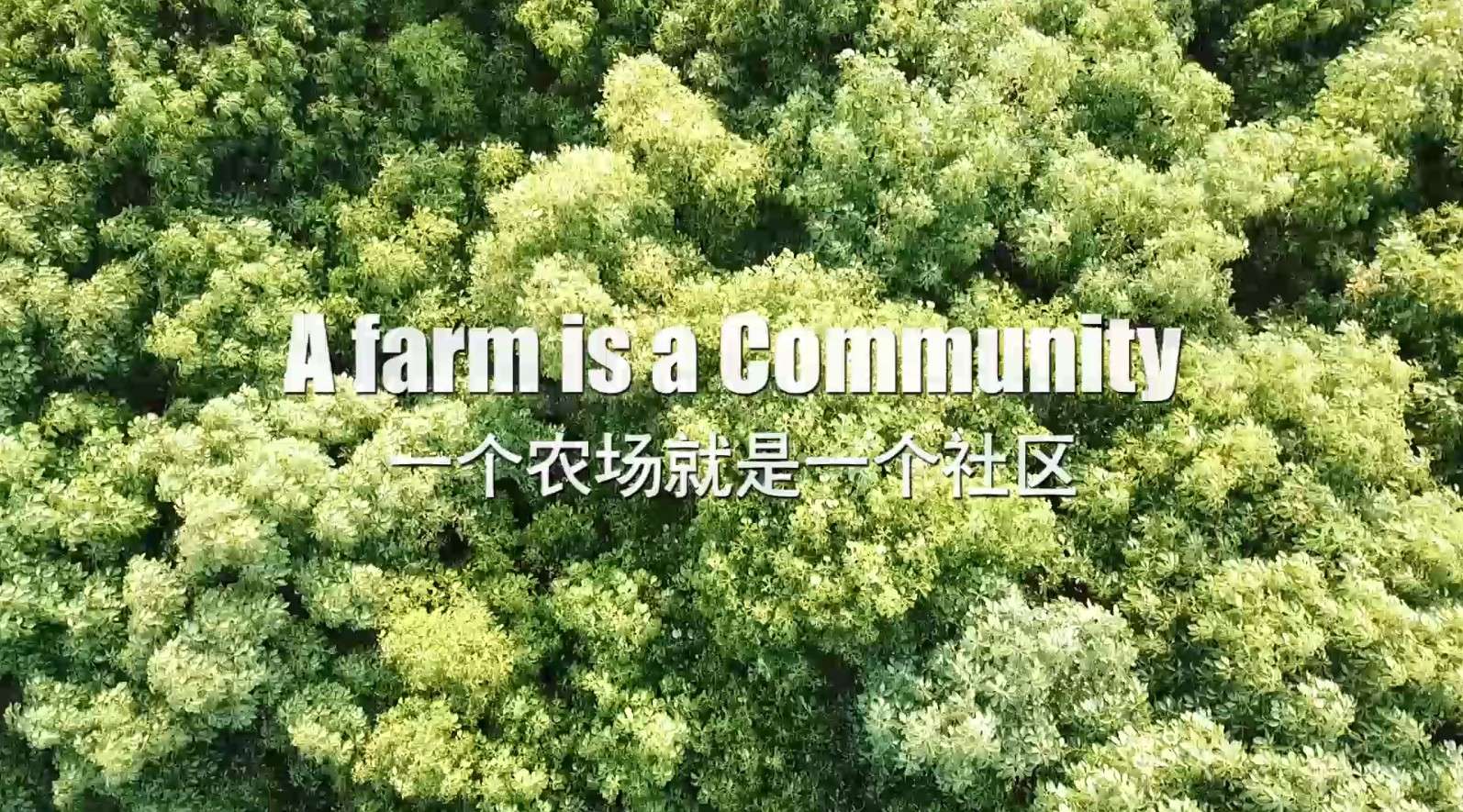乐田家庭农场 | 一个农场就是一个社区