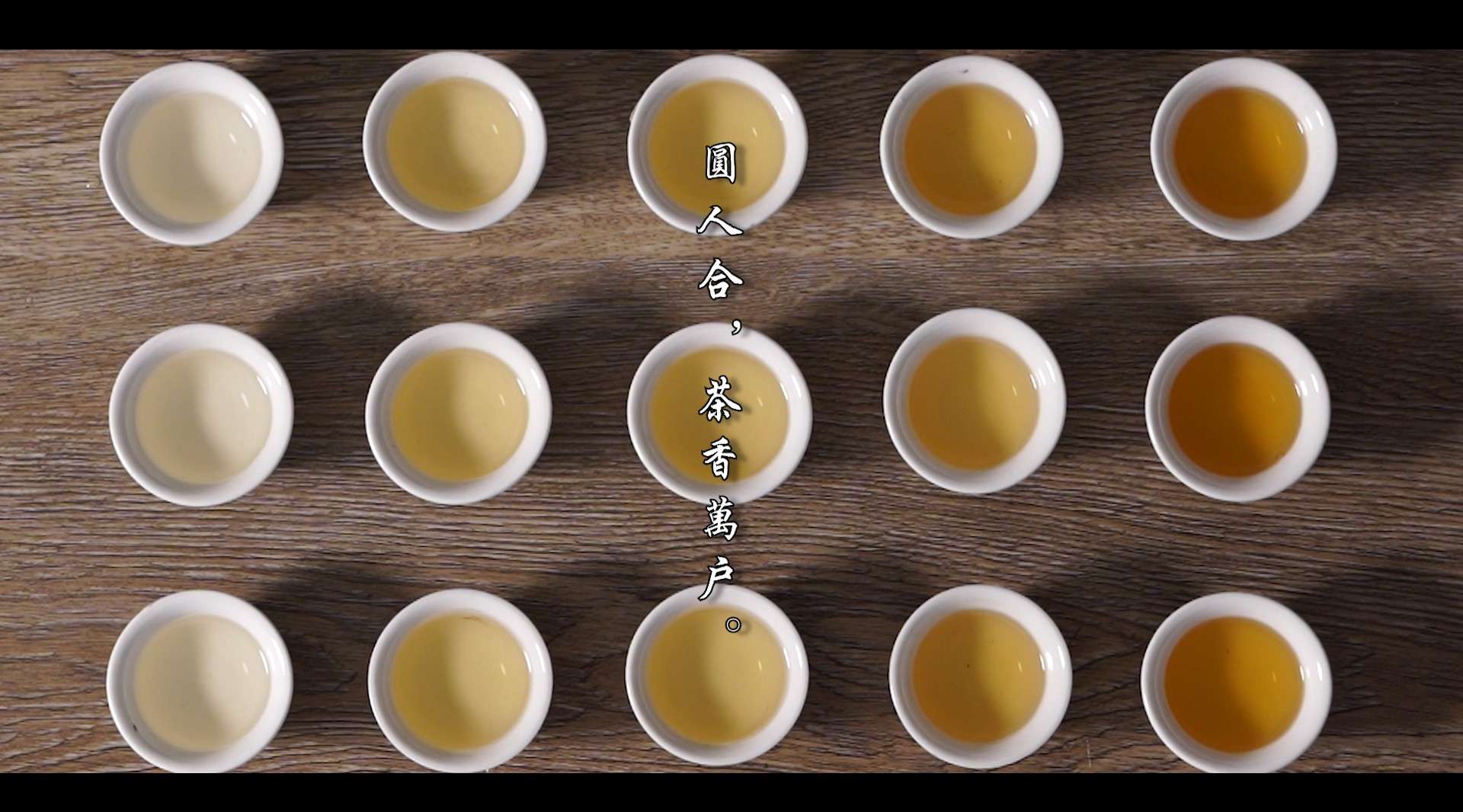 福鼎白茶产品视频