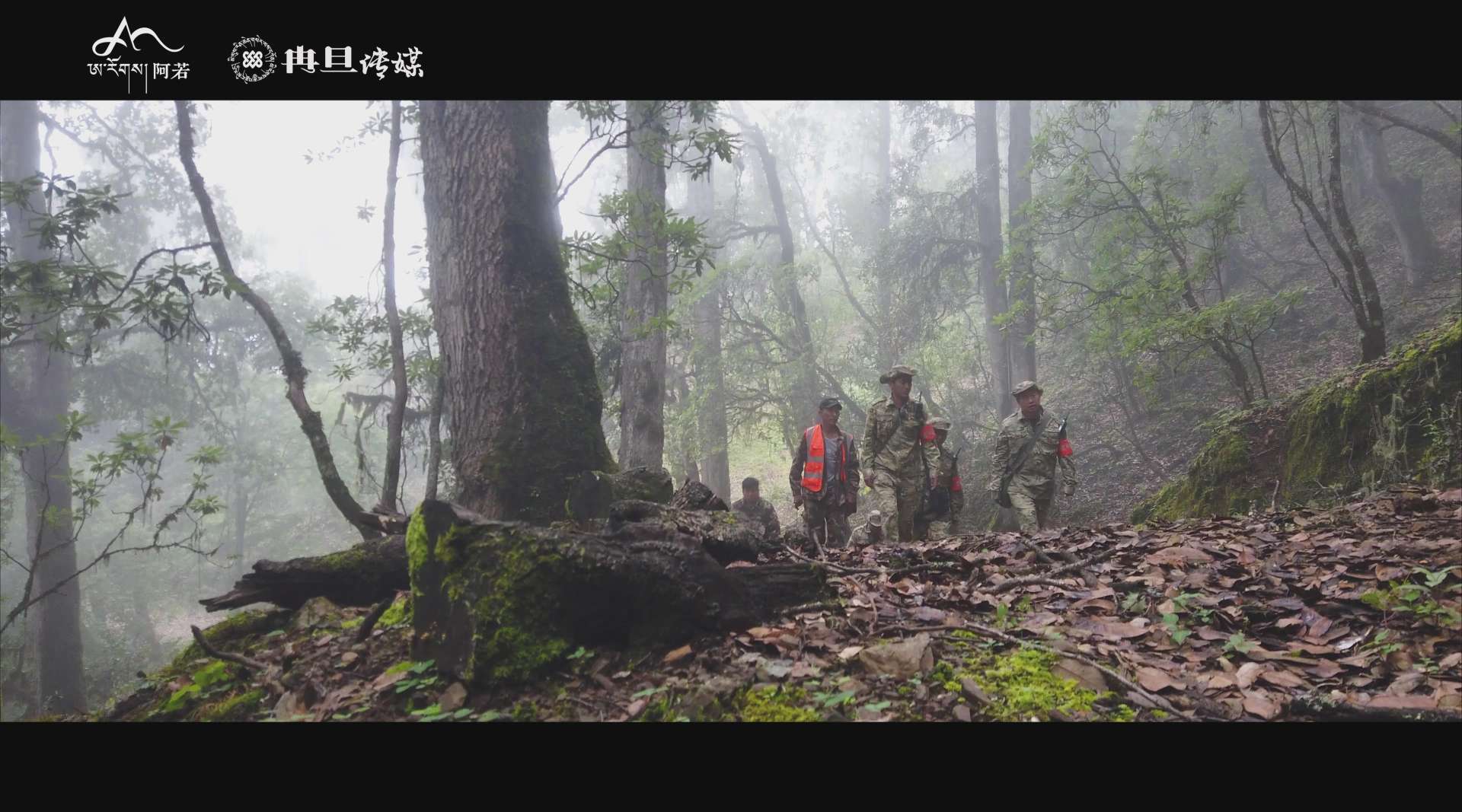 《守山》五境林场形象宣传片