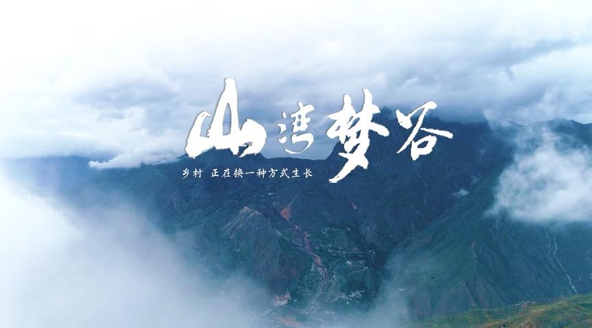 《山湾梦谷》——宕昌山背罗湾民宿村宣传片