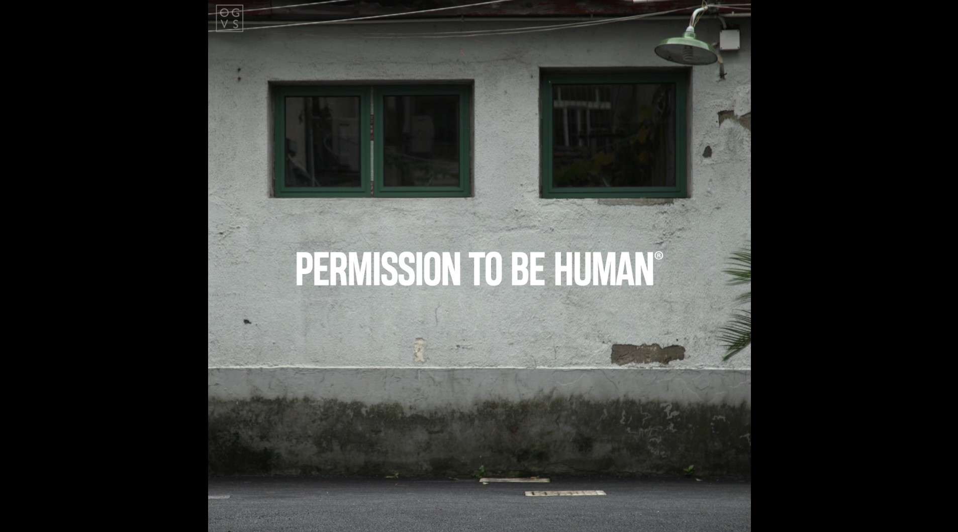 PERMISSION TO BE HUMAN