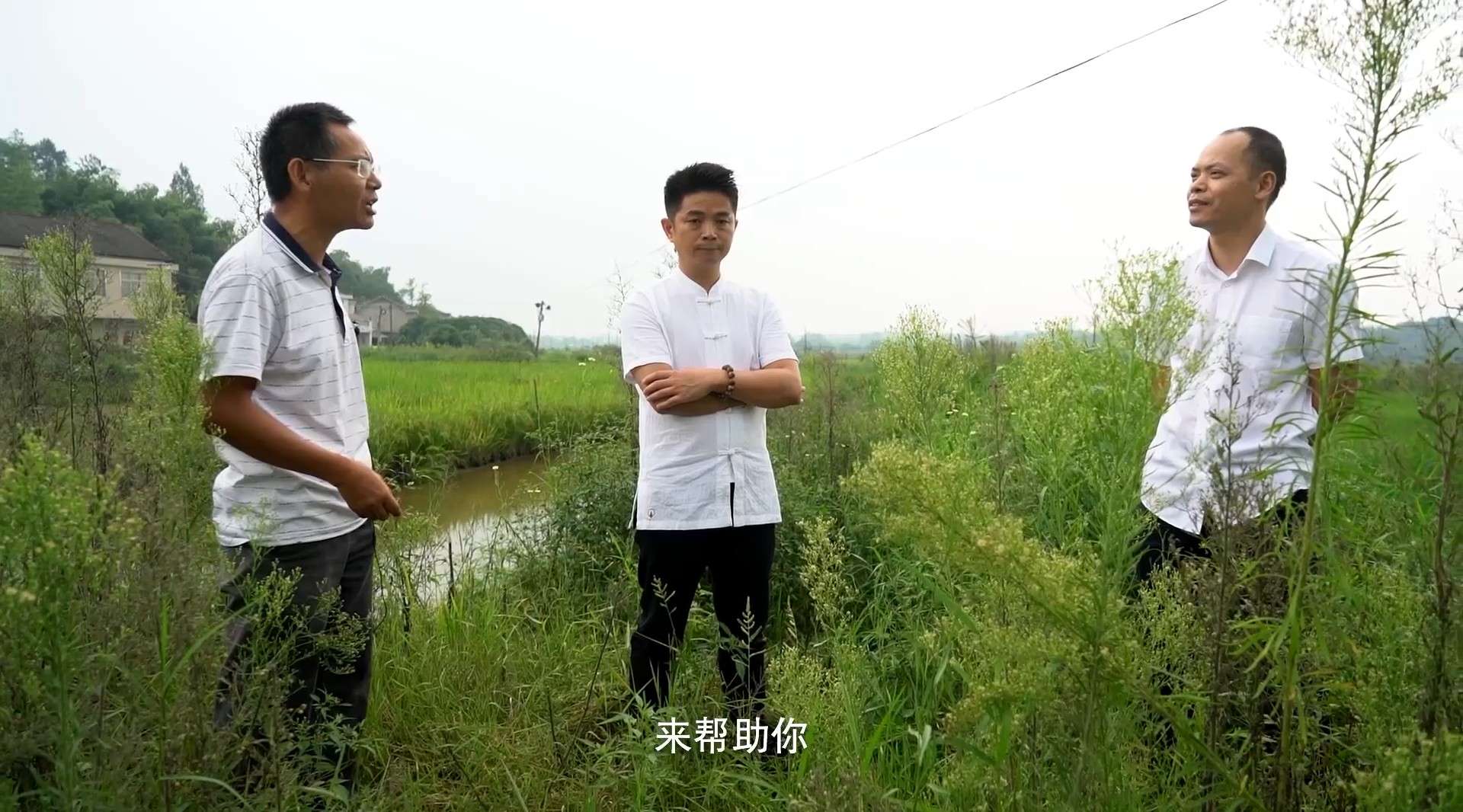 新旺米业生态农业种植基地