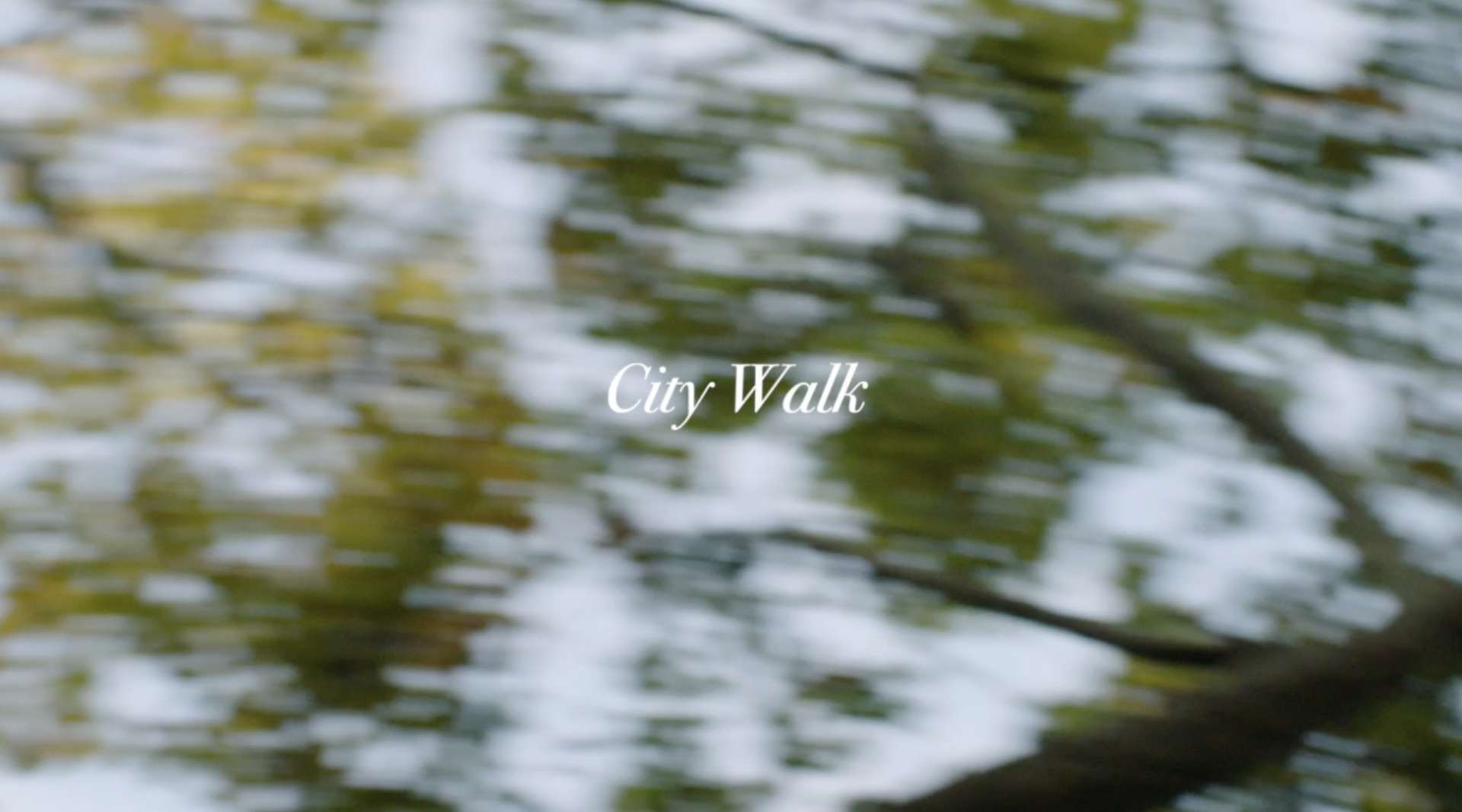 City Walk: NAN JING  杨子姗