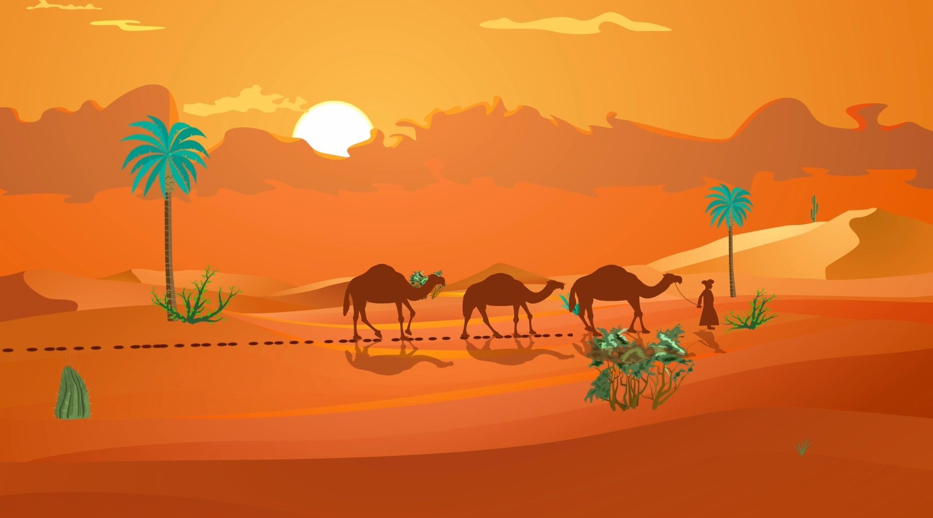 《趣谈生态系统：撒哈拉沙漠24小时》|能生存下来的动植物都很刚