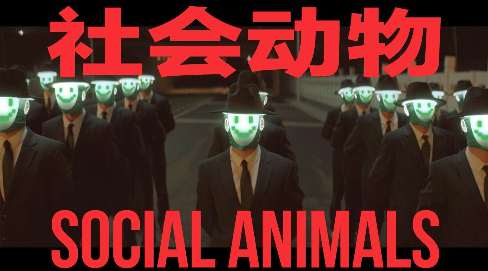 MV | Matzka 《社会动物》- Social Animals