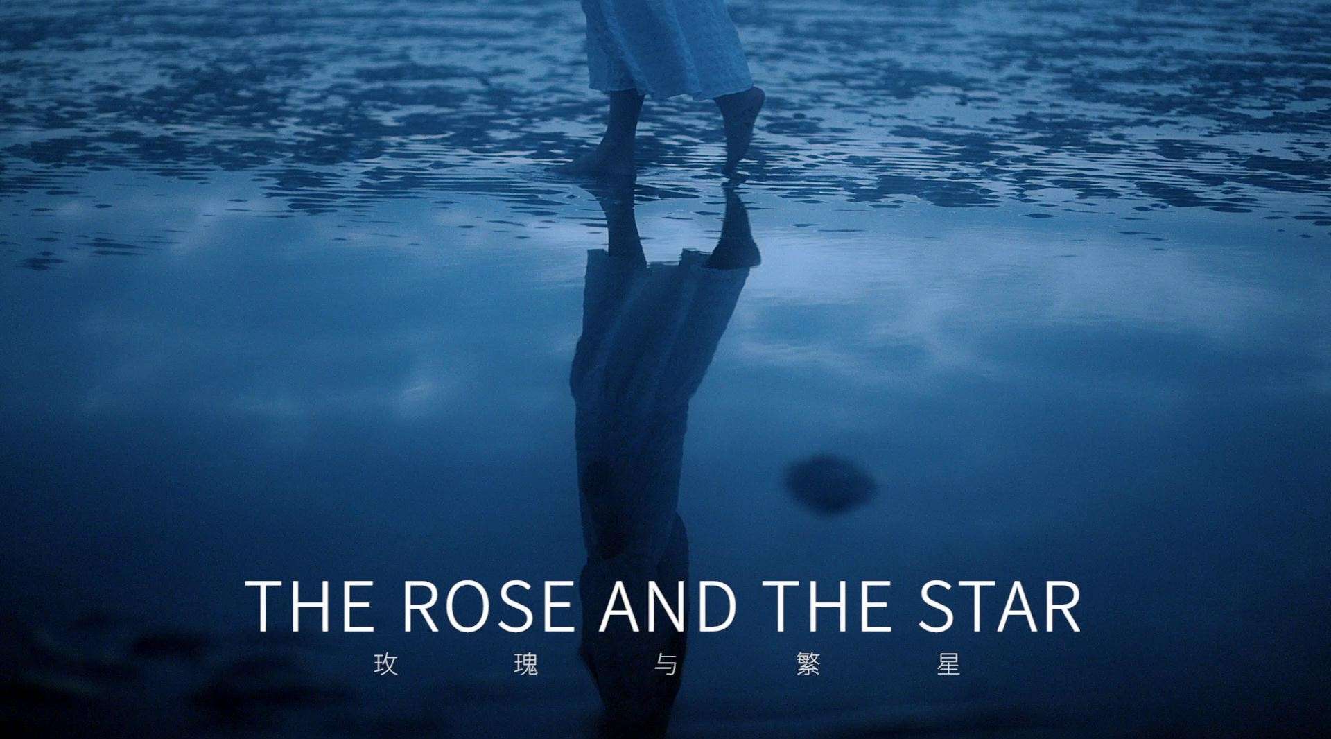 Yves# 玫瑰与繁星