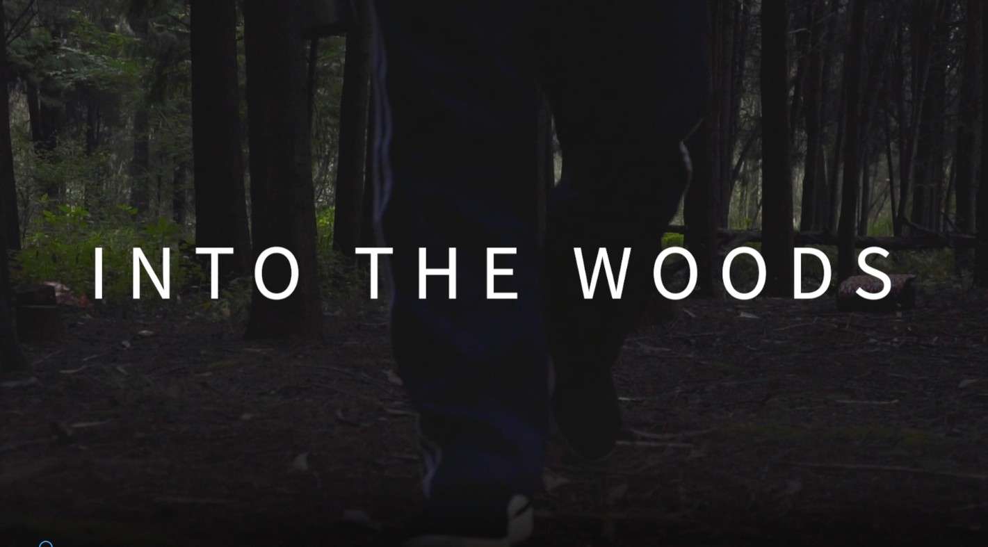 森林涂鸦音乐短片 vlog 【INTO THE WOODS】
