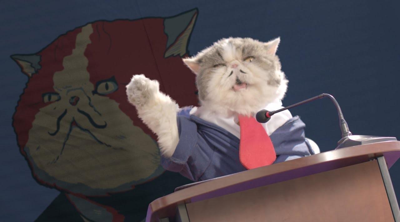 猫也能参加竞选！动物喜剧《猫咪政客》