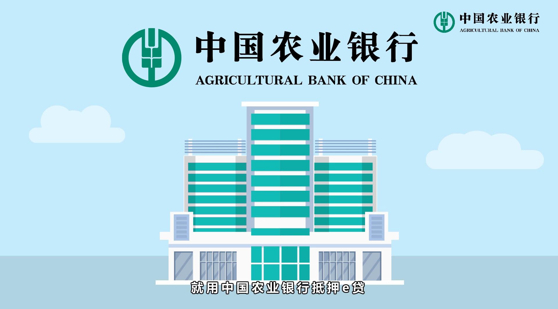 中国农业银行抵押e贷