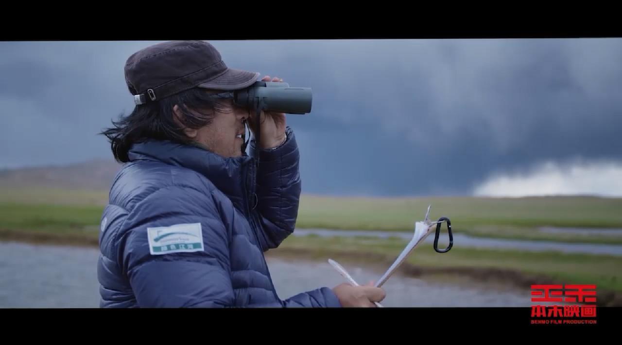 《让世界看到更多生命的希望》海康威视斑头雁生态纪录片