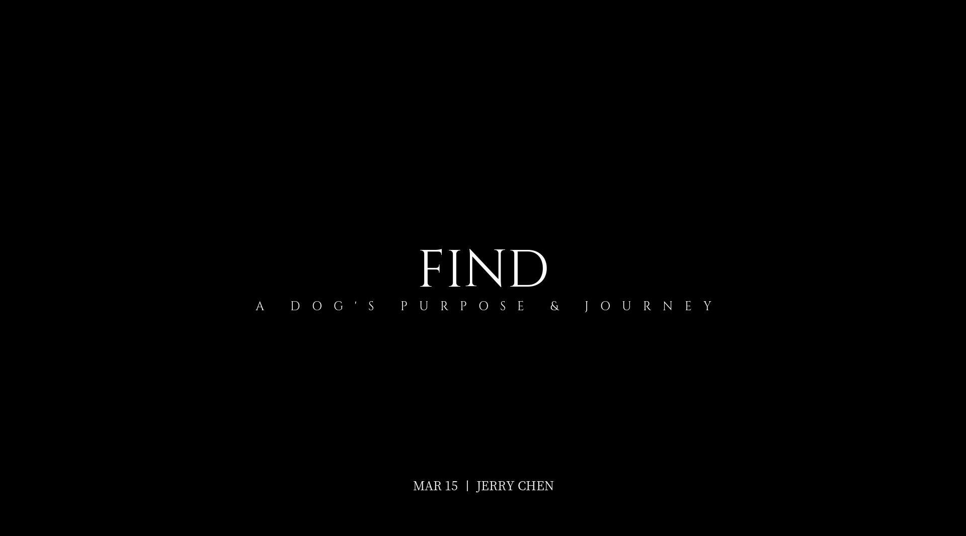 Find丨A Dog's Purpose & Journey