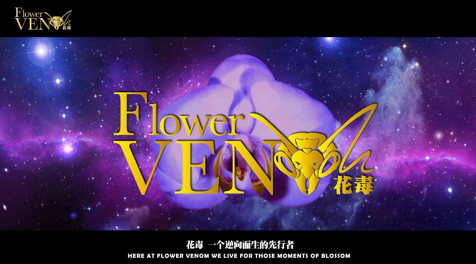 大连花毒花卉艺术有限公司官方概念宣传片-中文版