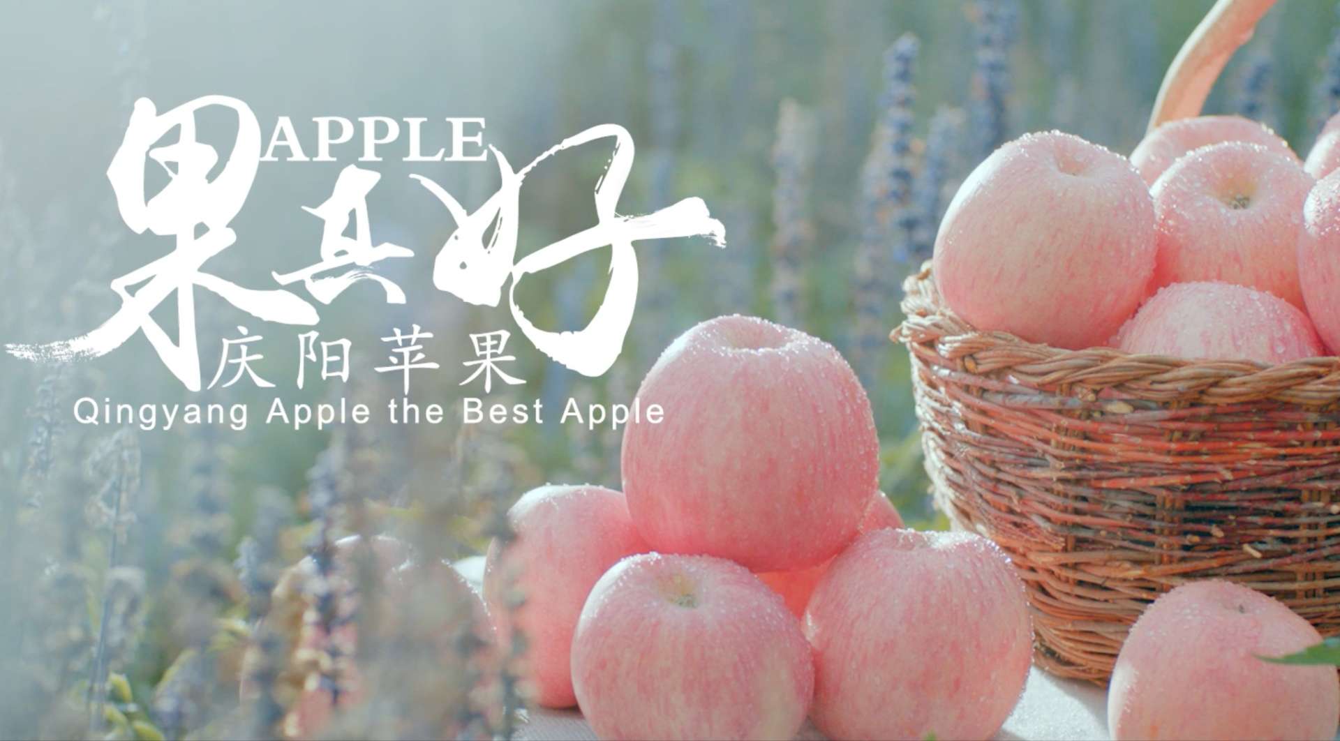 庆城苹果广告片