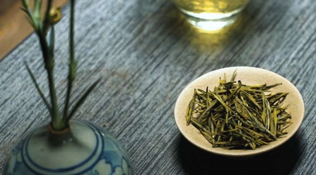 安吉白茶：九百年传承