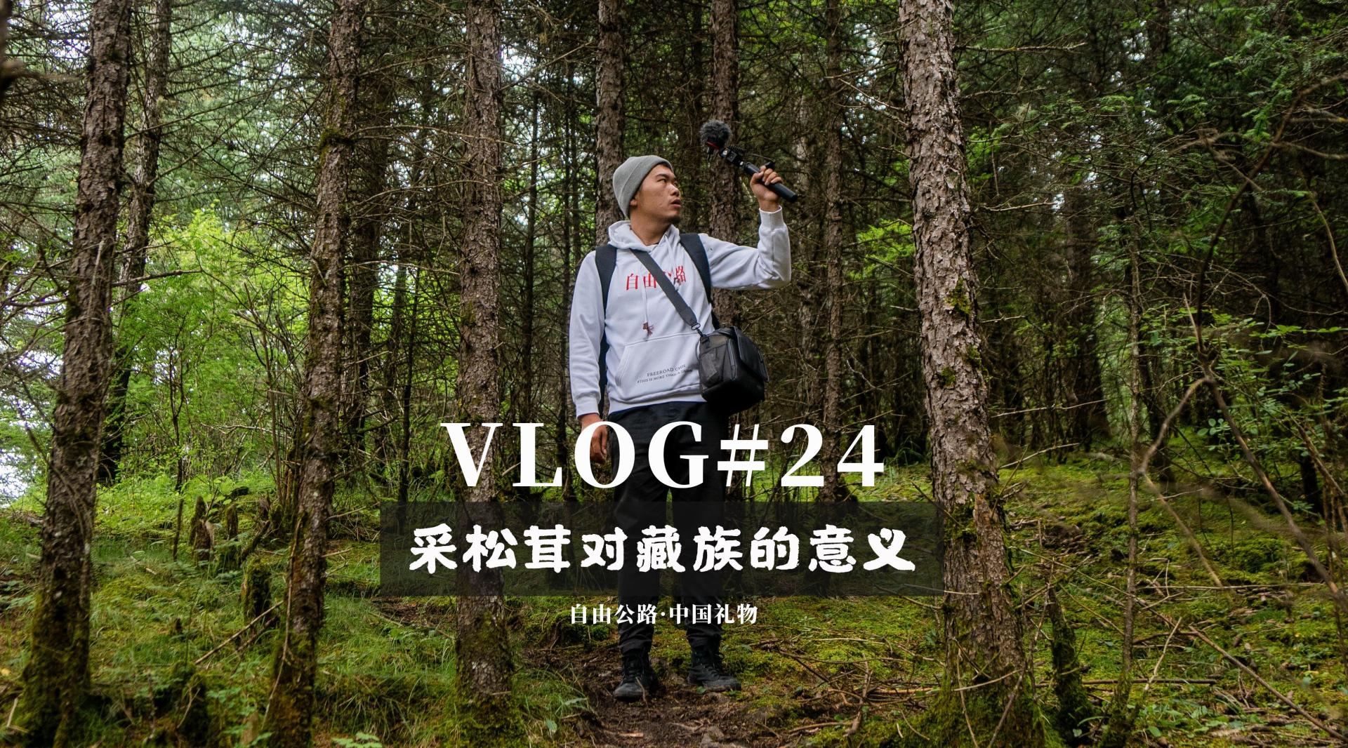 旅商日志VLOG024字幕版