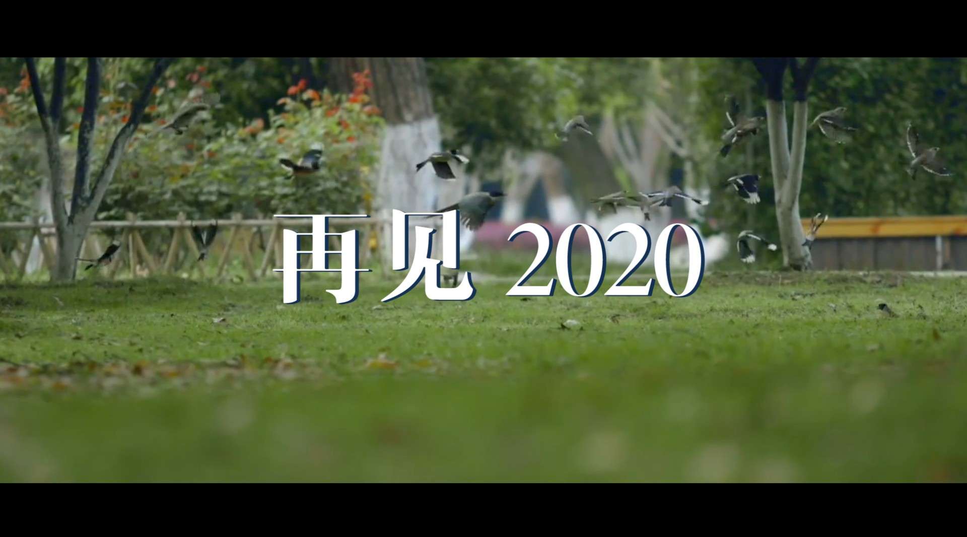 再见 2020