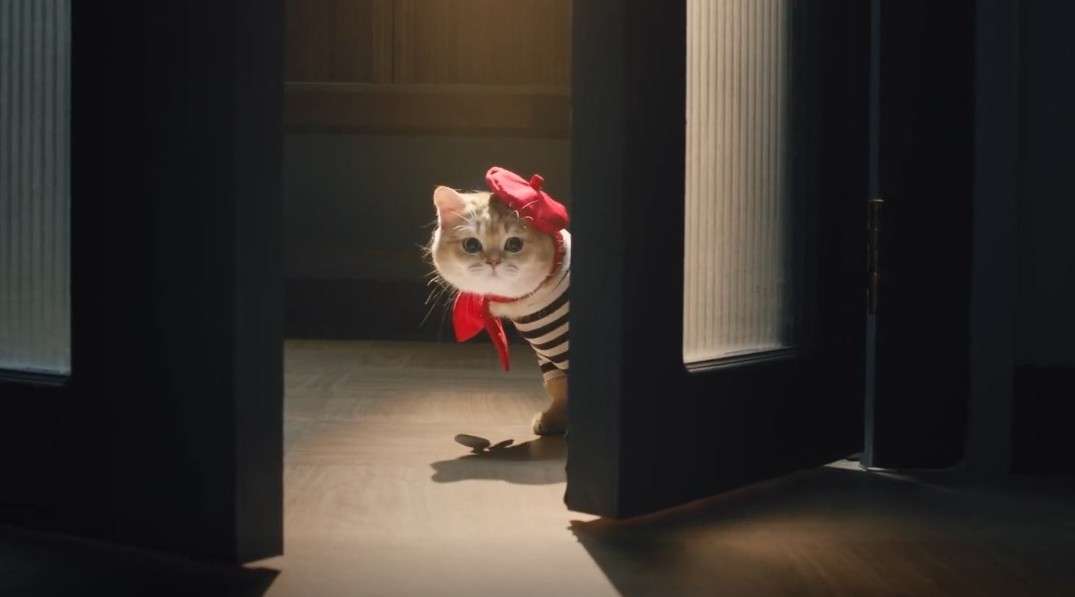 美的最萌广告《猫咪的新宠》