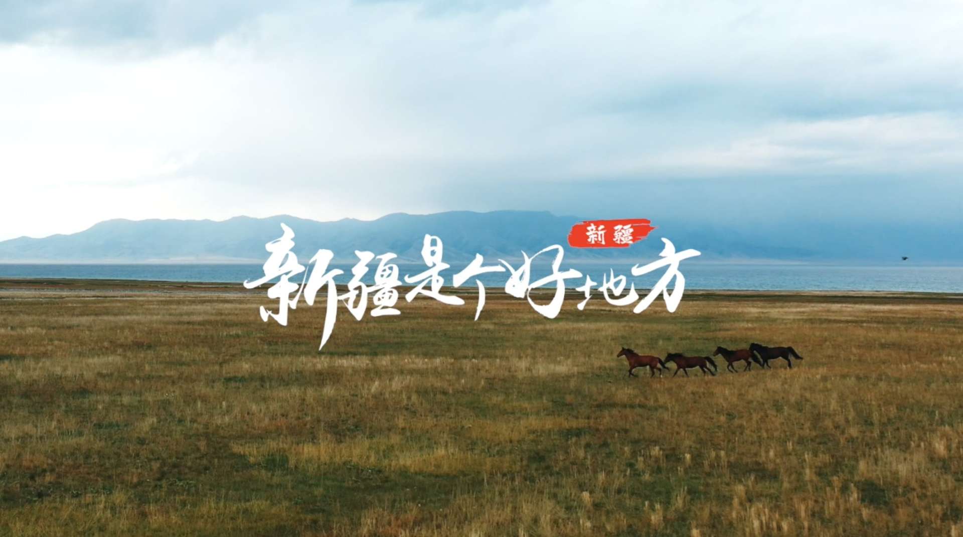 逍遥假期旅行社 全景南北疆14天国列游新疆 宣传片