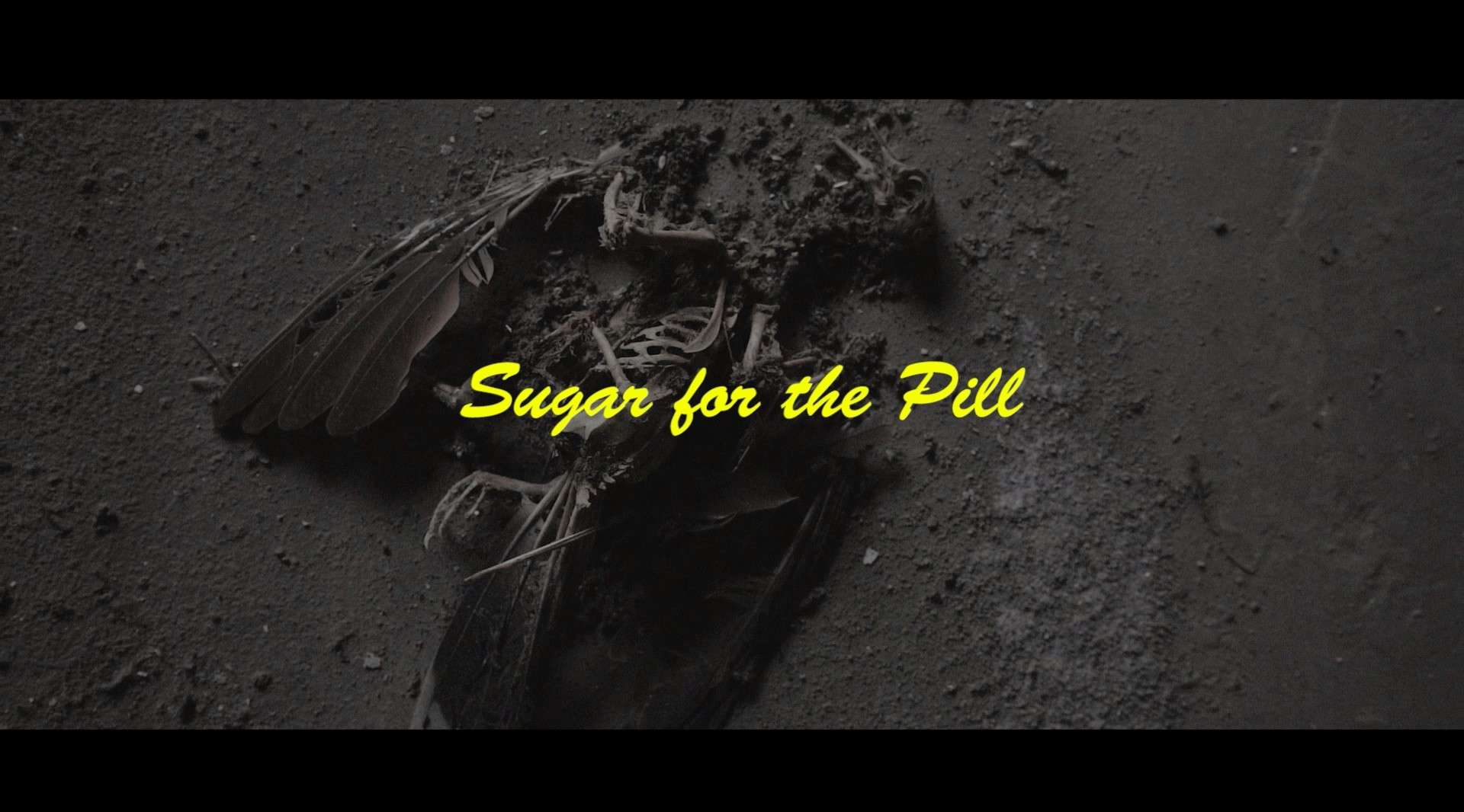 Sugar for the Pill 2020 空镜头