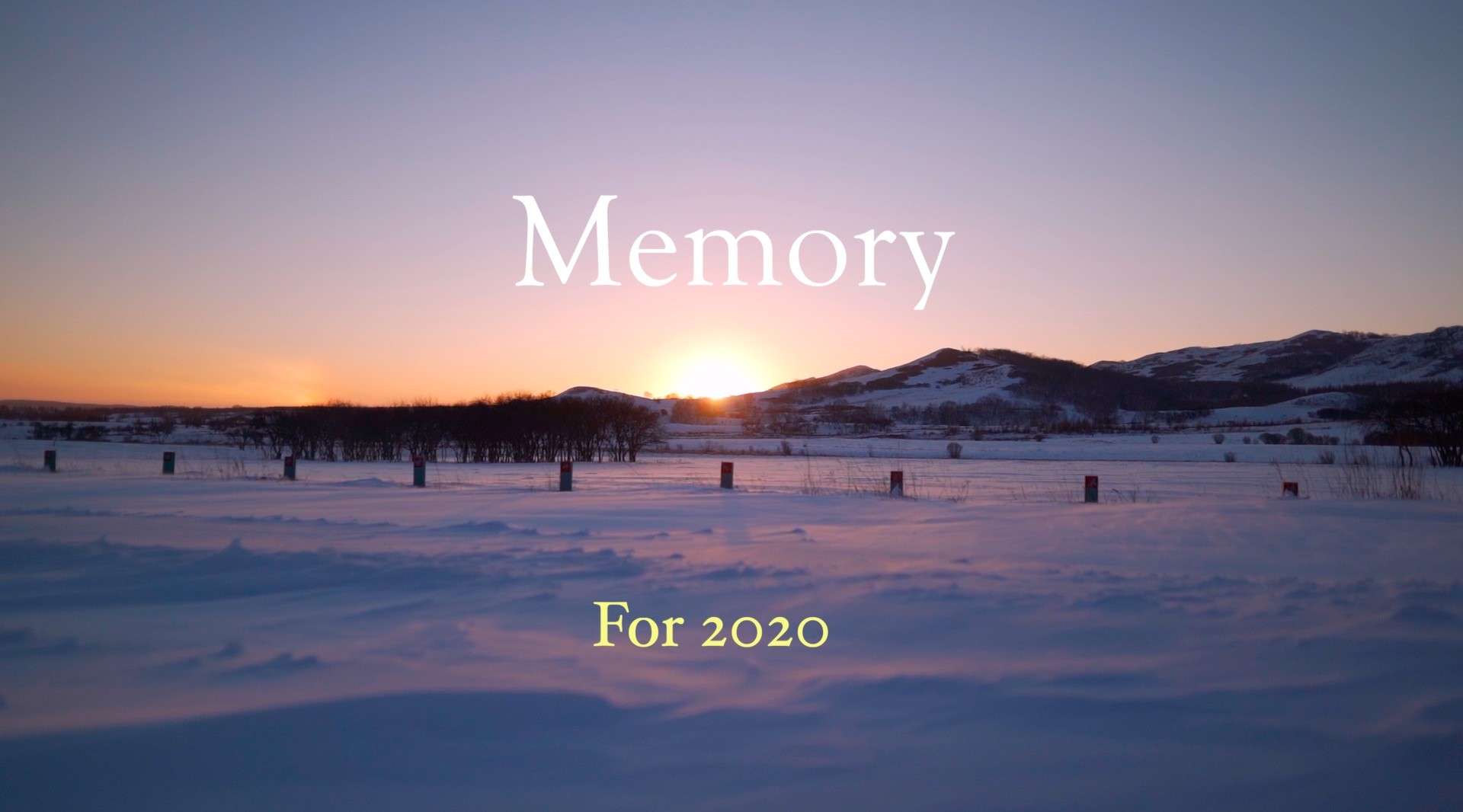 Memory——For 2020