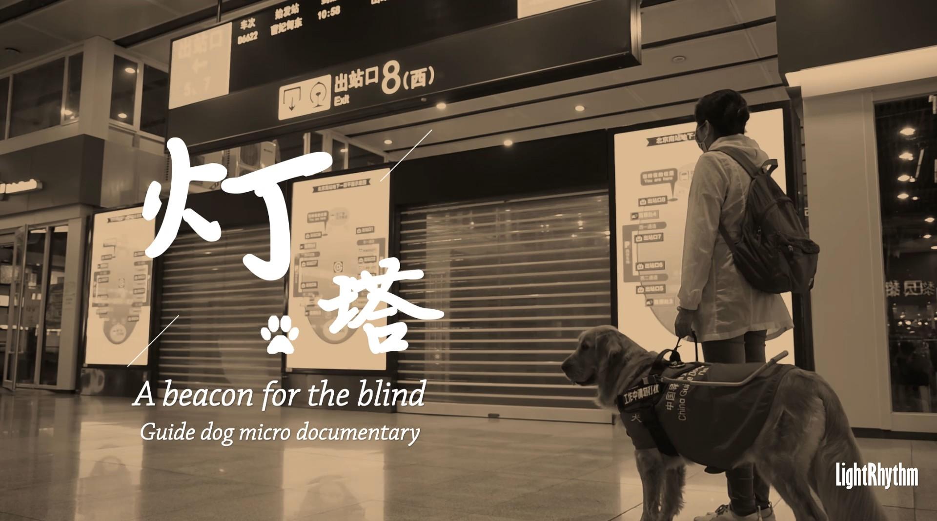 《灯塔》导盲犬公益微记录短片
