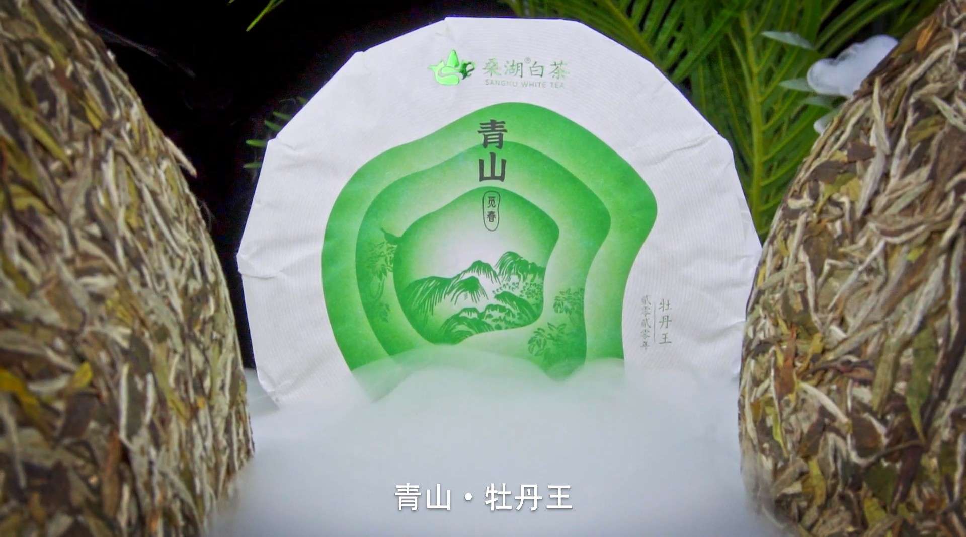 桑湖白茶·青山-产品视频-茶叶视频-福鼎白茶