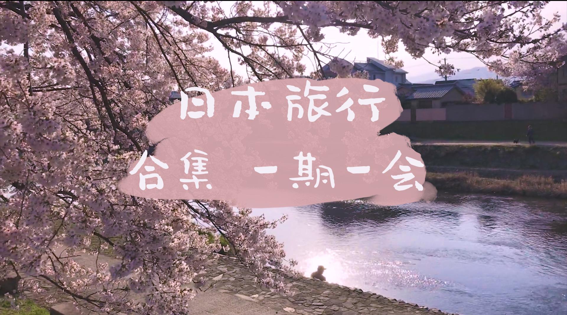 vlog1 |日本旅行 京都樱花季太美了