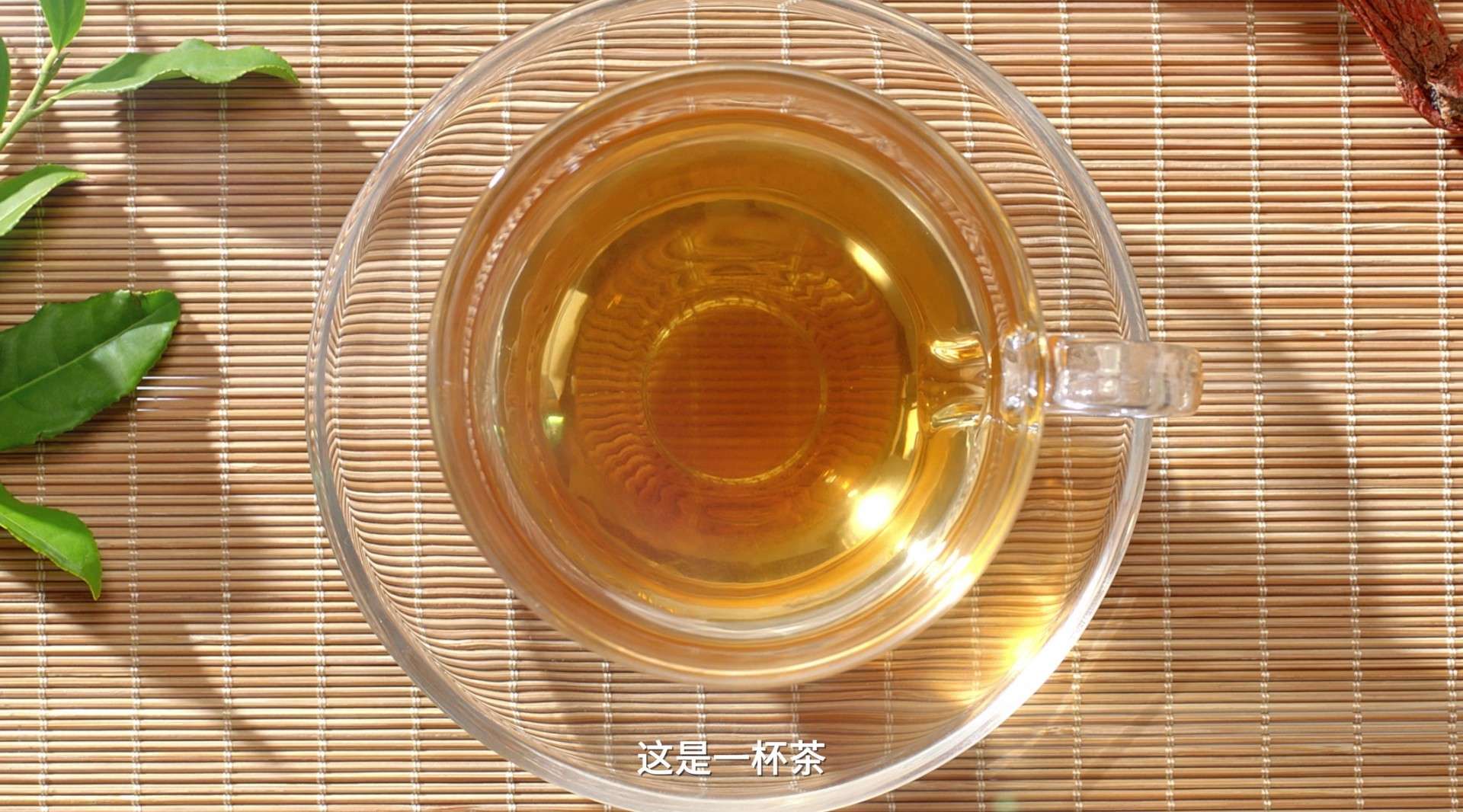 狮子座广告 天草丹参保心茶 《一杯茶》