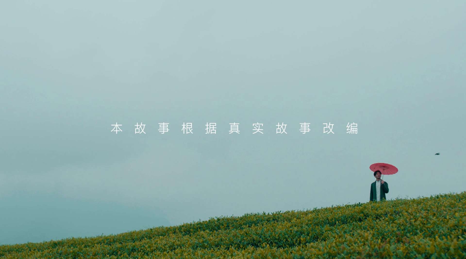 马边茶品牌微电影丨《一叶知晴雨》
