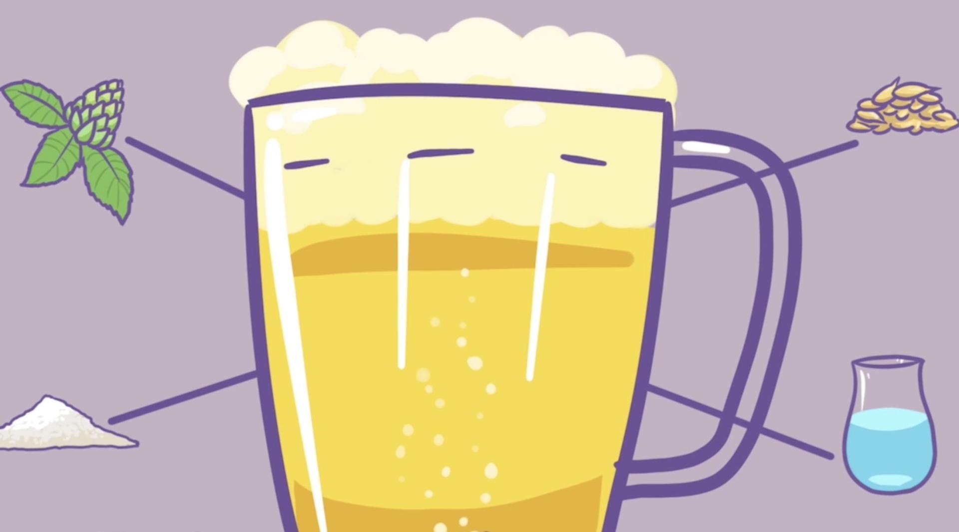 【手绘视频】《雪花——冷知识定制》为什么男人爱喝啤酒？