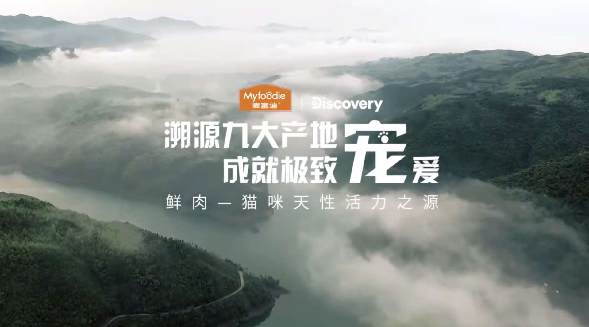 Discovery X 麦富迪 寻鲜溯源之台湾猫村