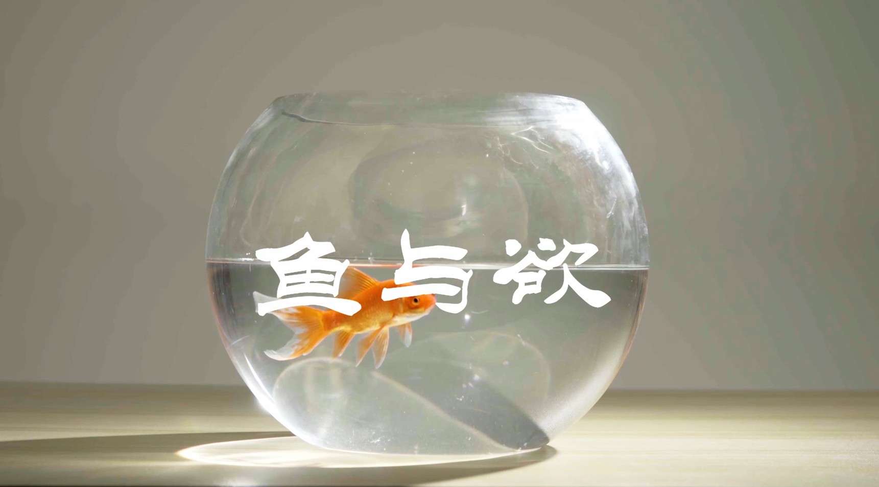上海纪委公益宣传片《鱼与欲》