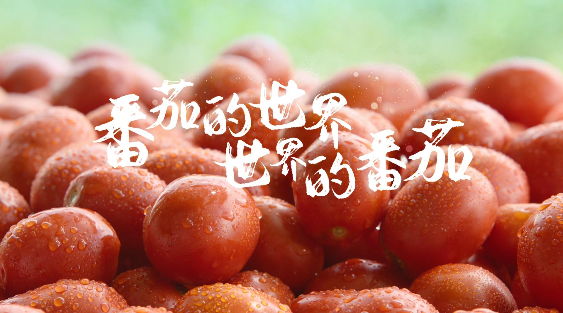 澄明食品七个番茄宣传片
