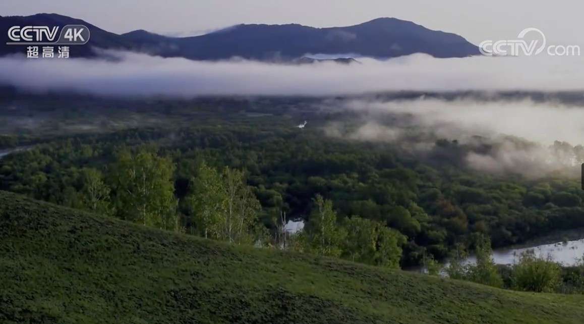 CCTV_4K超高清《美丽中国自然》 呼伦贝尔系列 额尔古纳湿地