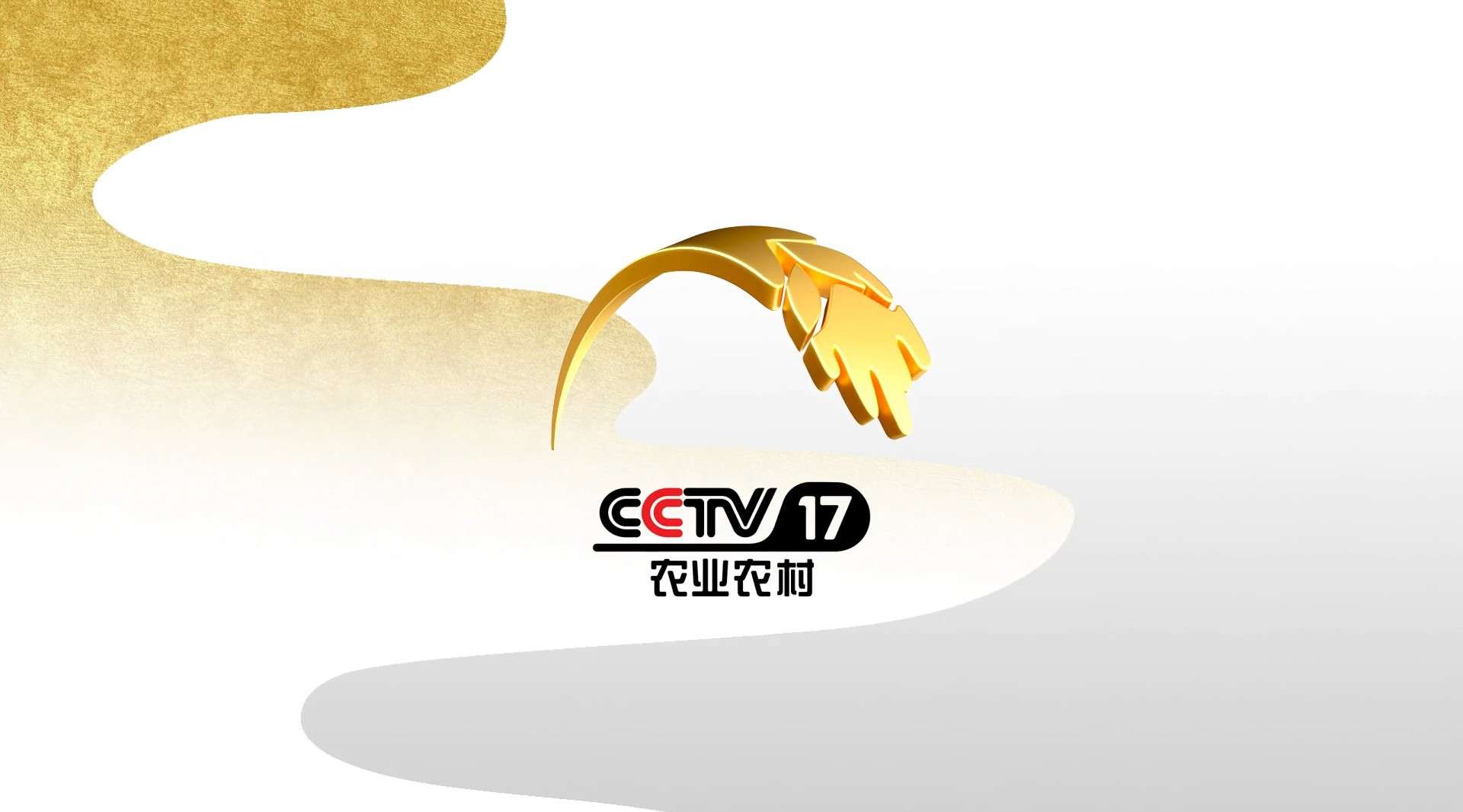 2021 CCTV-17套 农业农村频道宣传片