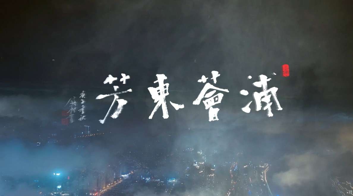 《浦荟东芳》--上海浦东宣传片