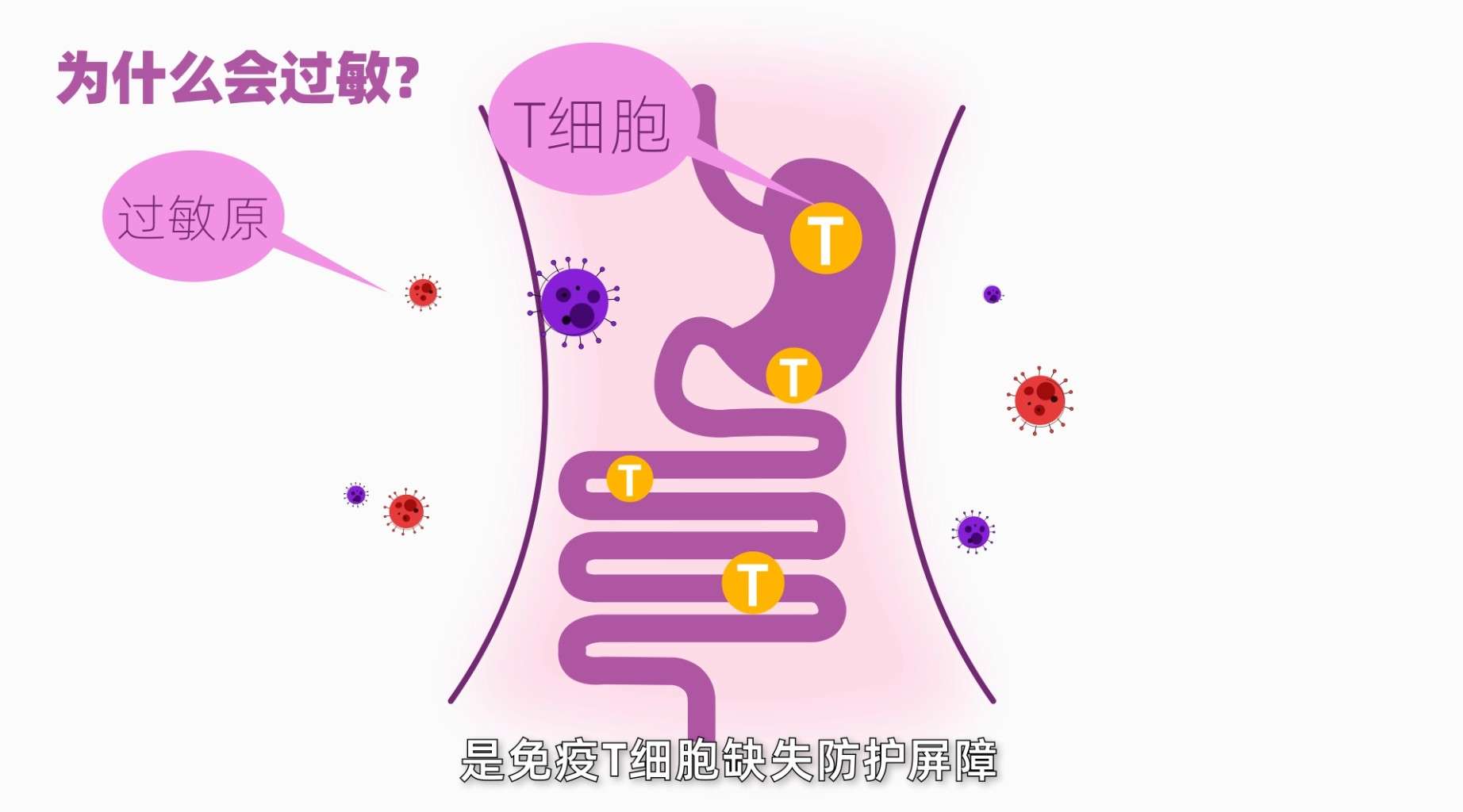 抗敏产品MG卡通二维动画宣传片糖果益生菌人体有益短视频