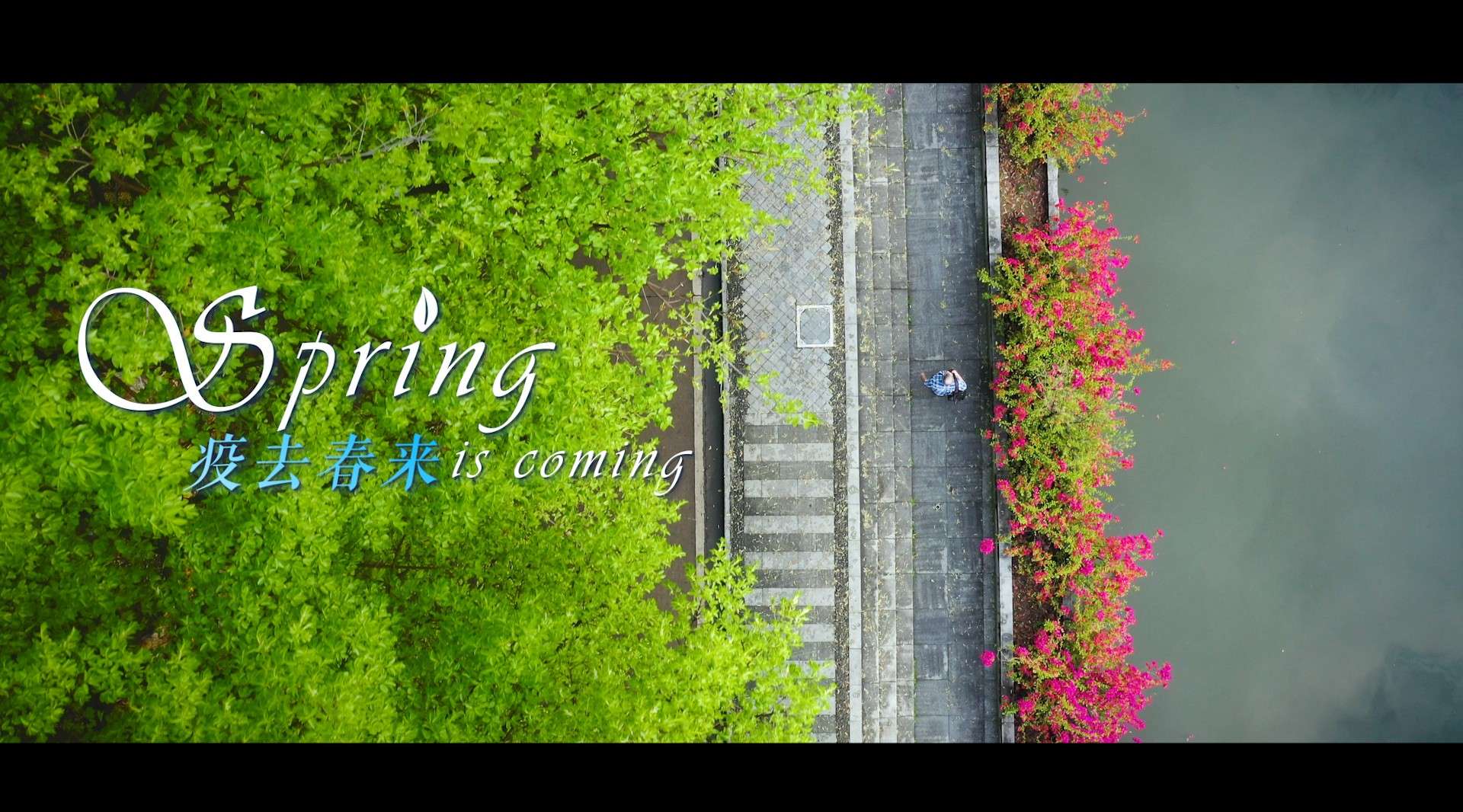 外国人谈中国抗疫：Spring is coming （合唱结尾版）