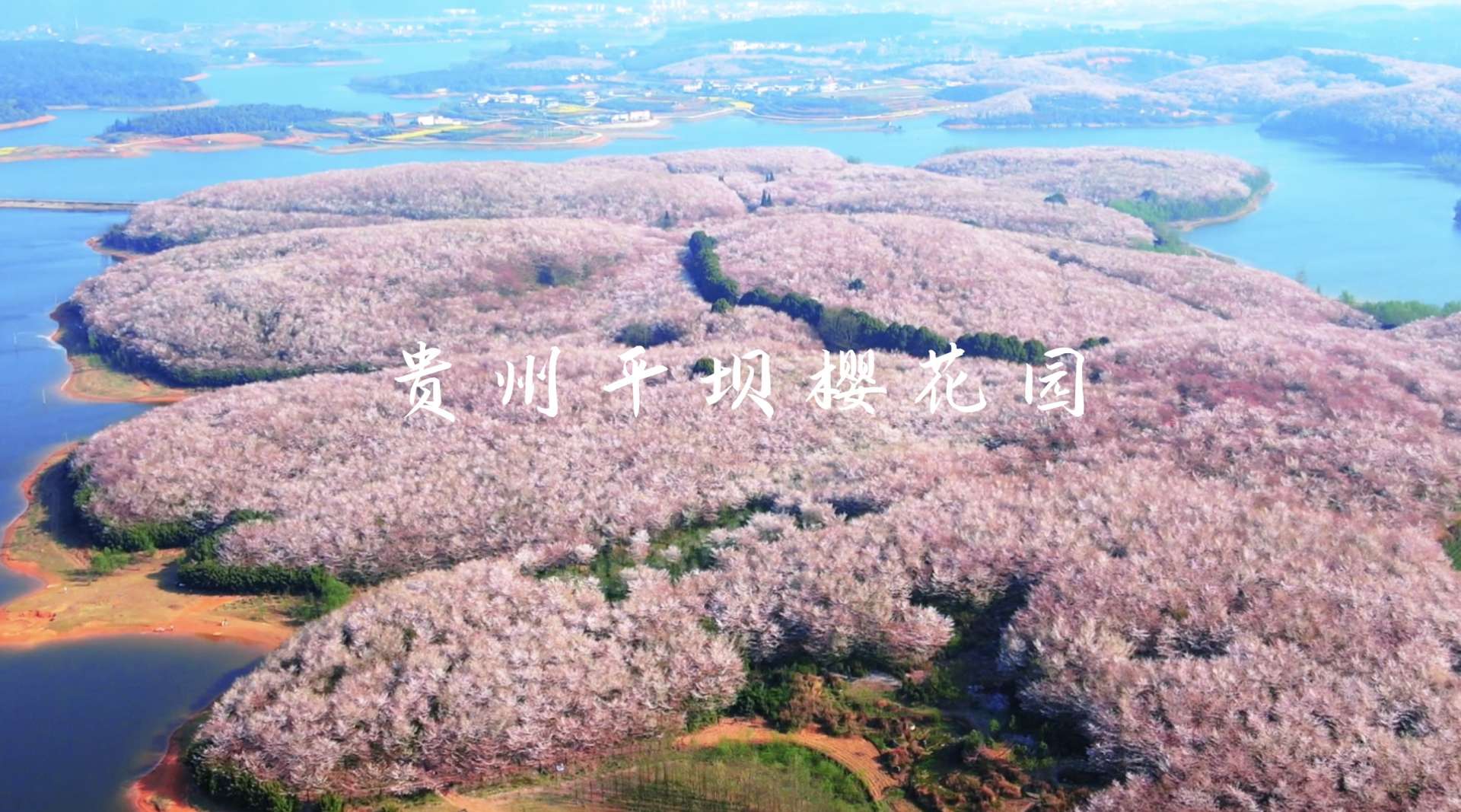 「旅行vlog」遇见了樱花飘落的季节，像进入了秒速五厘米的世界