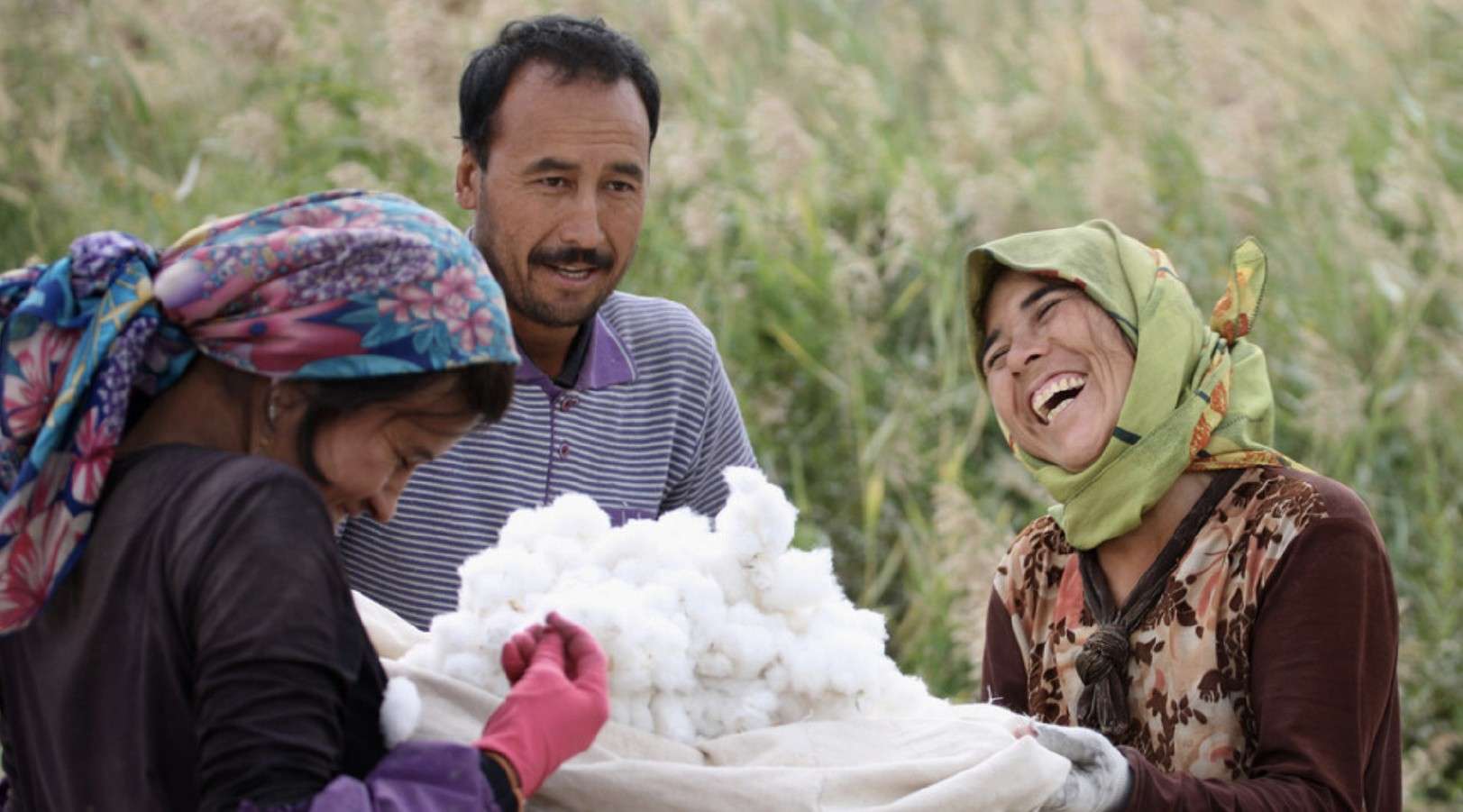 为什么是新疆棉花？