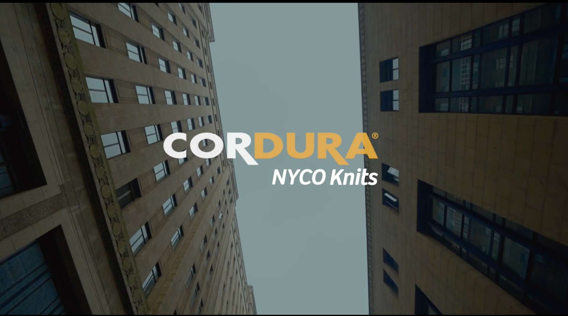 CORDURA NYCO Knits