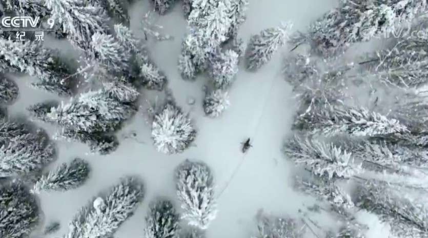 《时代》 20180205 冰雪之巅 第一集 阿如娜的冬天