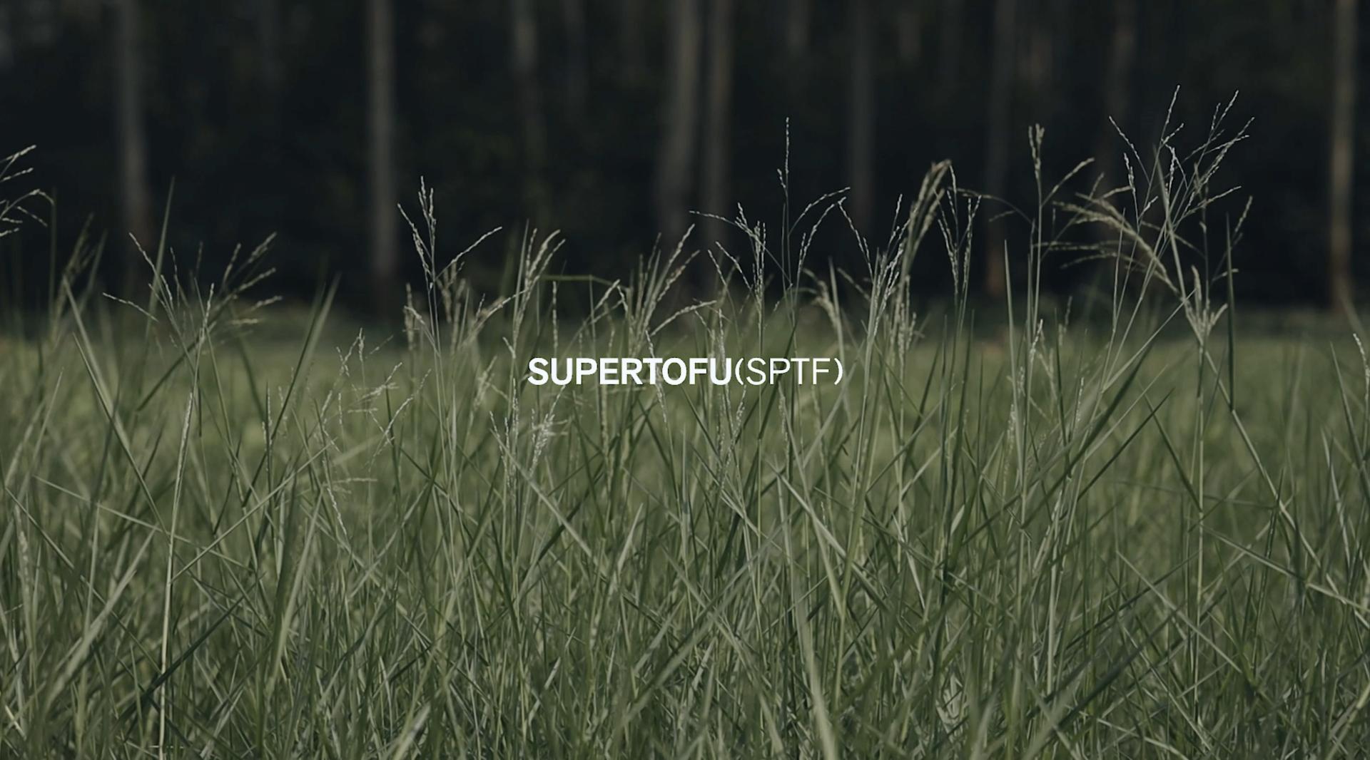 SUPERTOFU 19AW 城市森林 概念视频