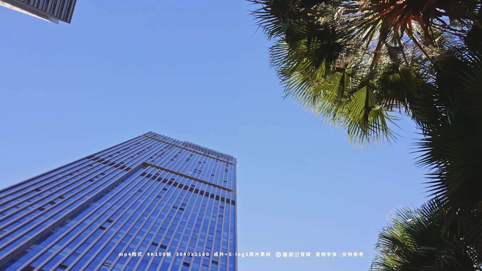 城市商务办公大楼棕树街景，视频素材：画视记官网，BGM：仅供参考