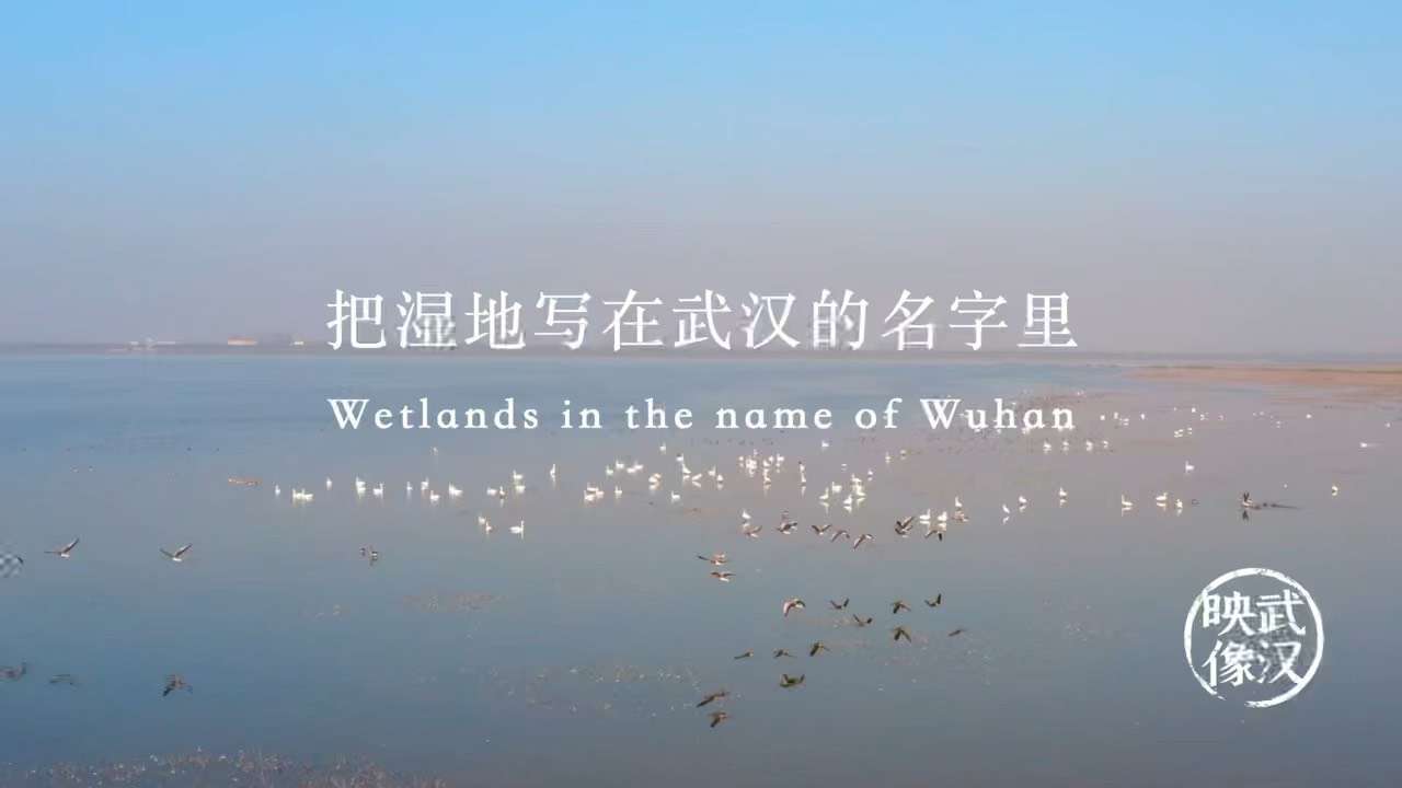 《把湿地写在武汉的名字里》