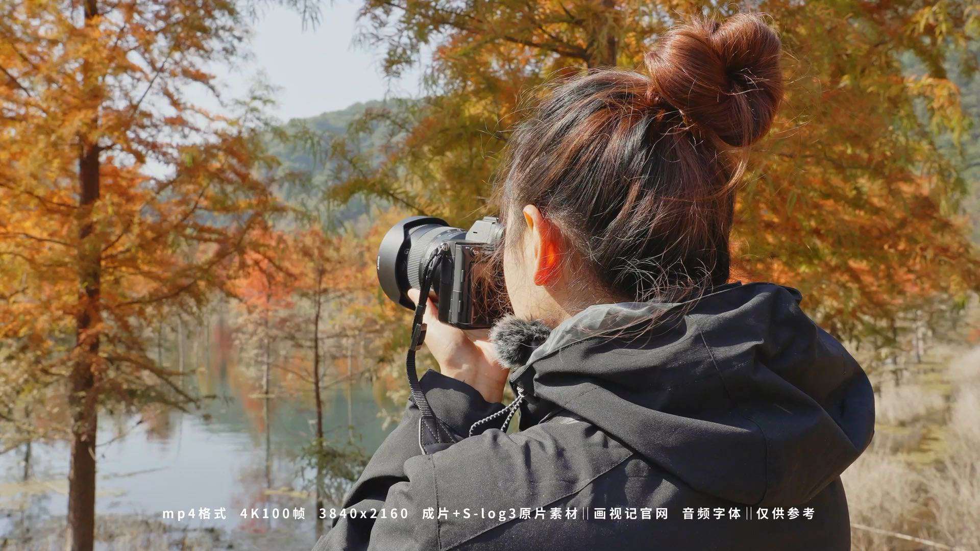 摄影师拍摄甸尾村秋冬季水杉林，视频素材：画视记官网，BGM：海来阿木-奈何岁月